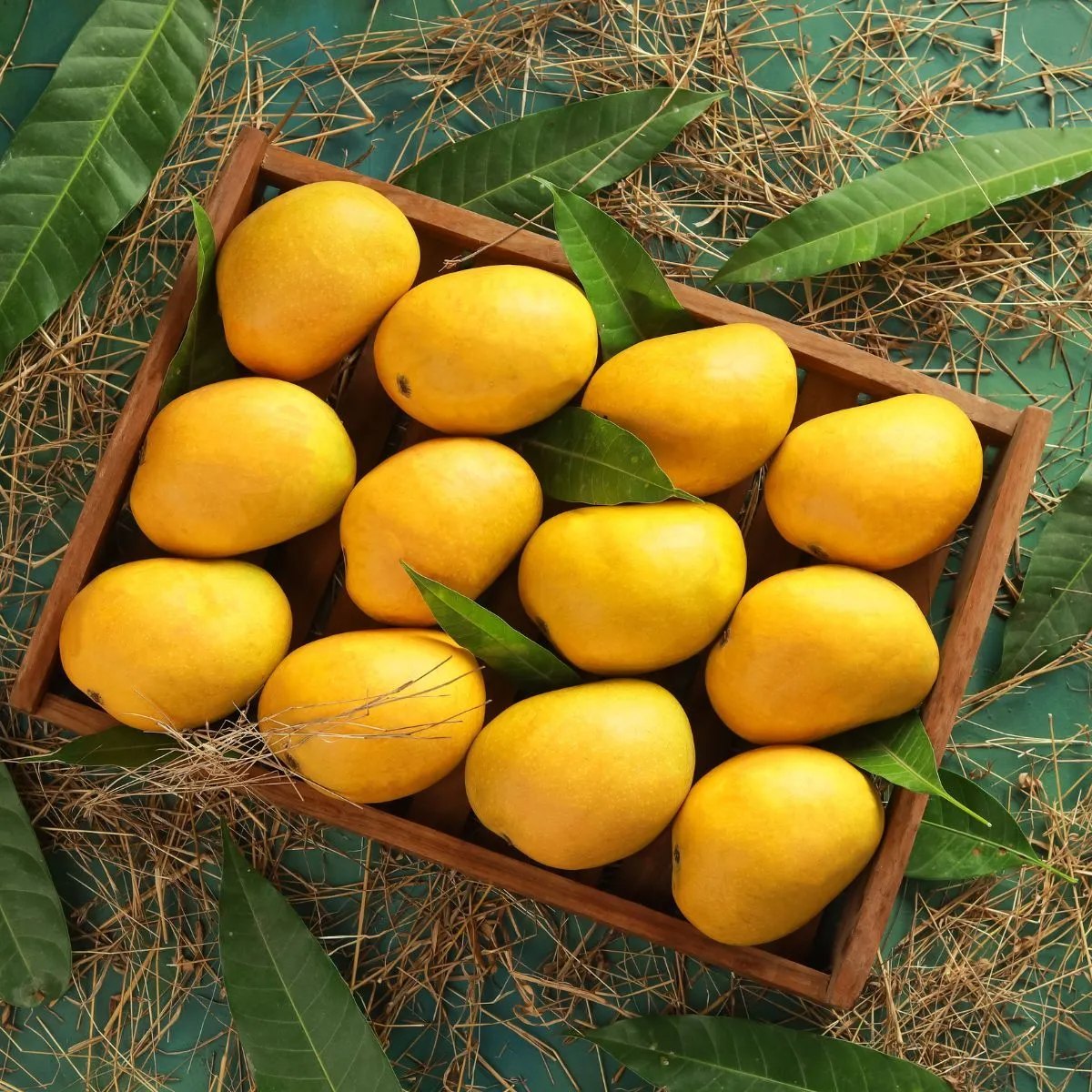 Mango Fresh