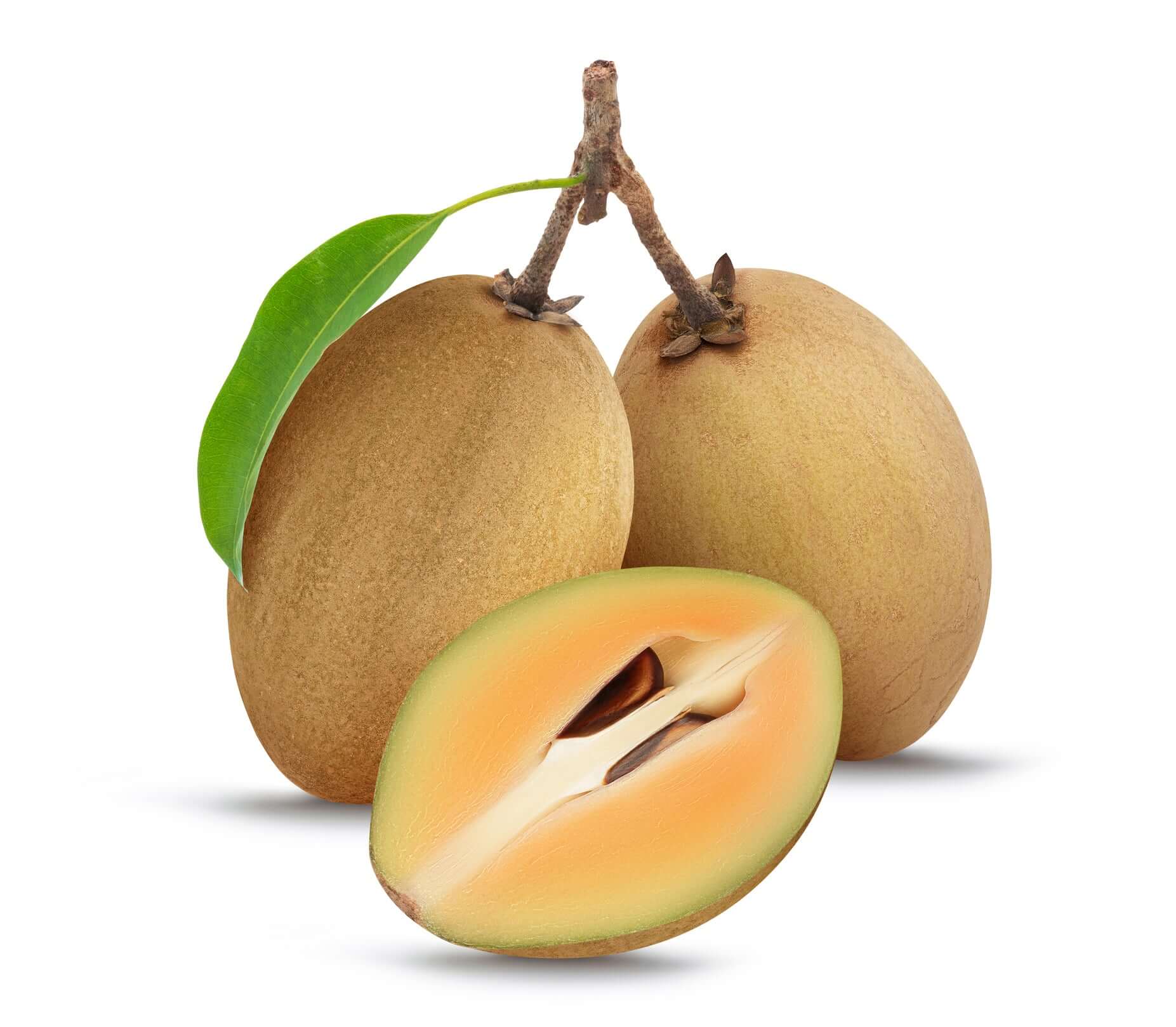 Sapota (Chikoo)