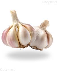 Garlic Ooty