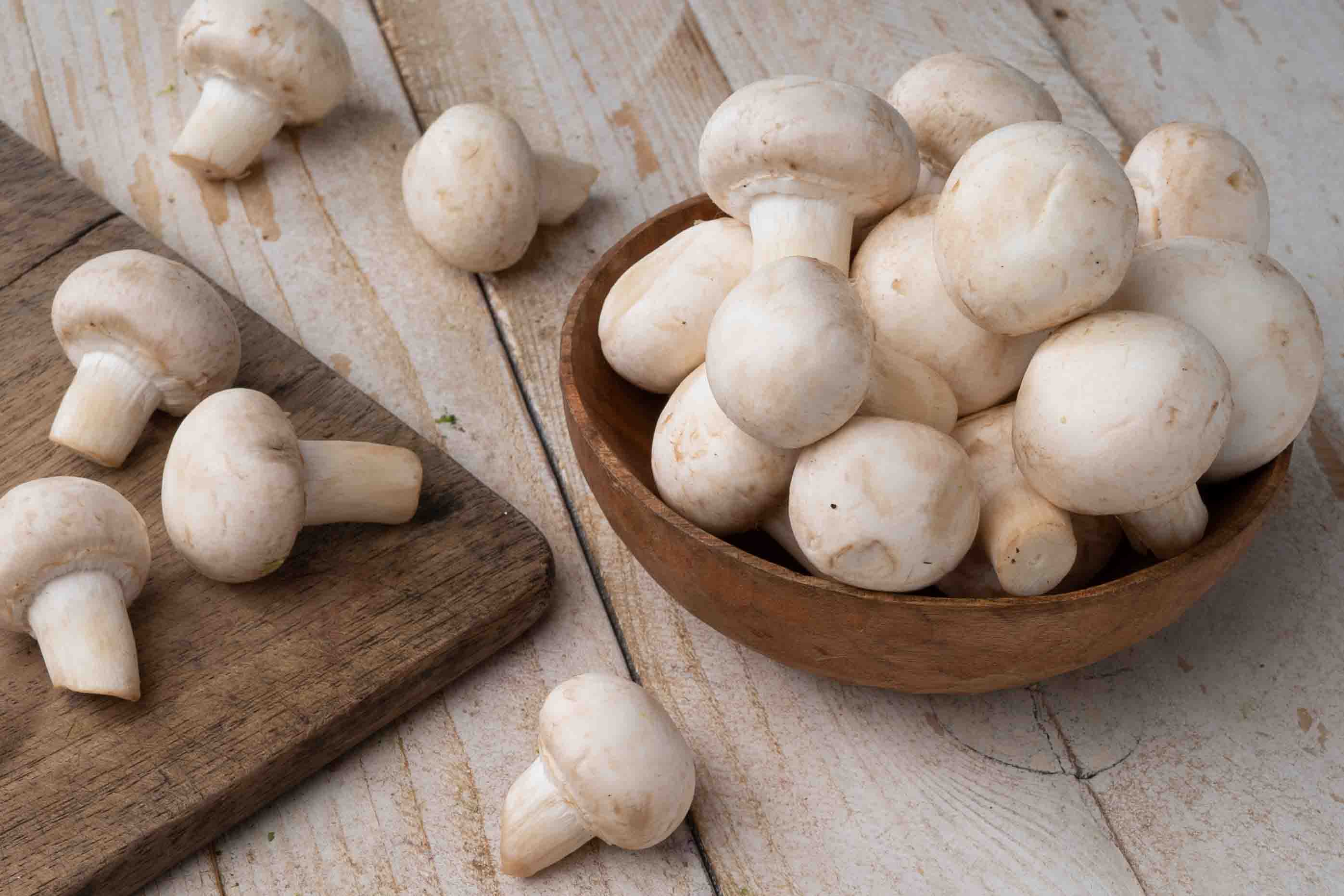 Mushroom
