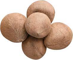 Dry Coconut