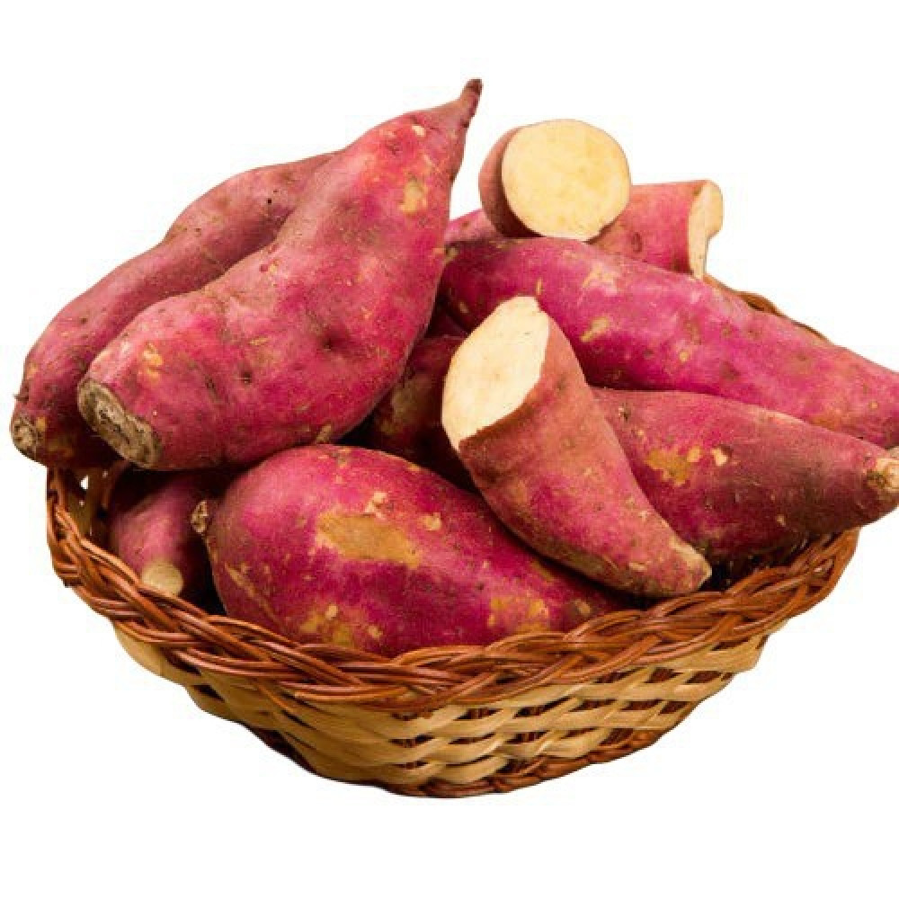 Sweet Potato