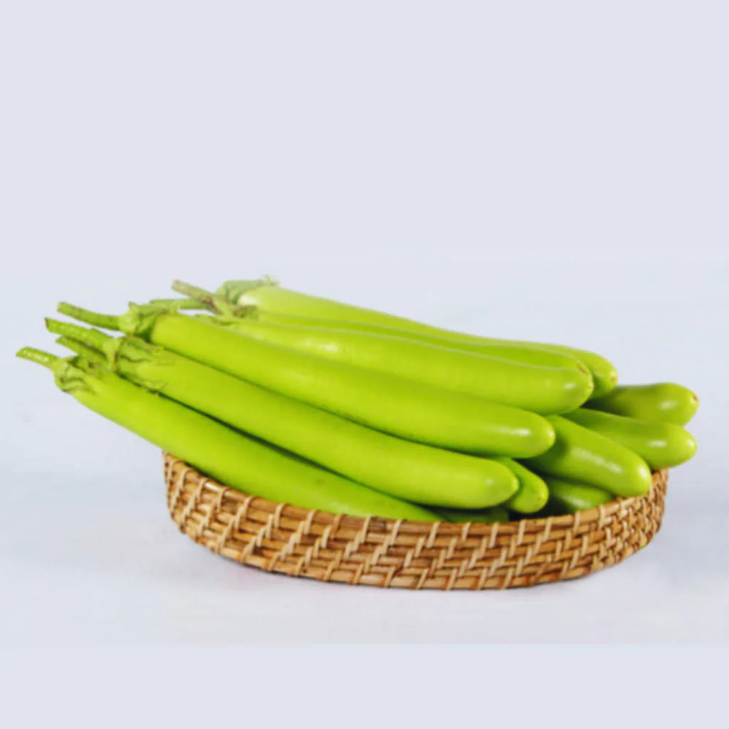 Brinjal green long