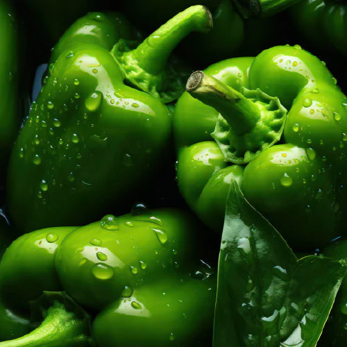 Capsicum Green