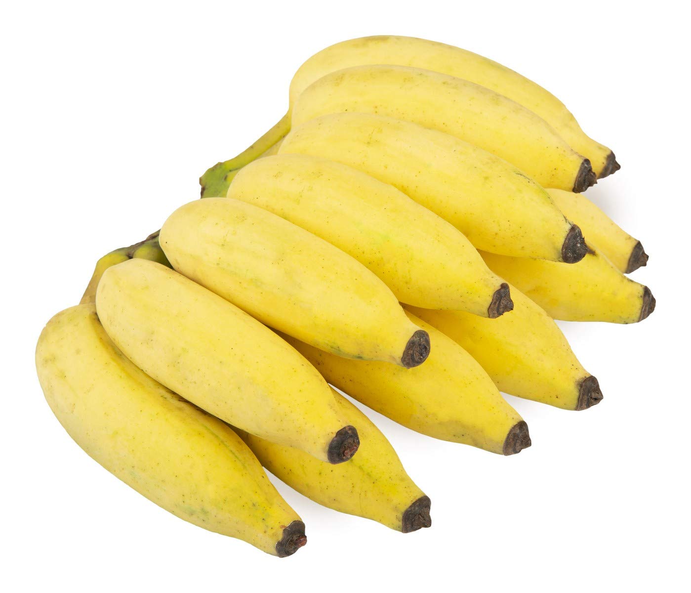 Cut Beans