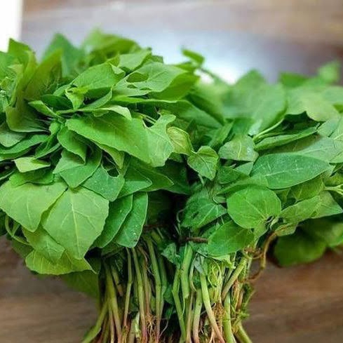 Chakotha Greens