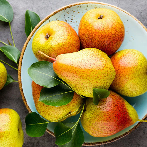 Pear Beauty