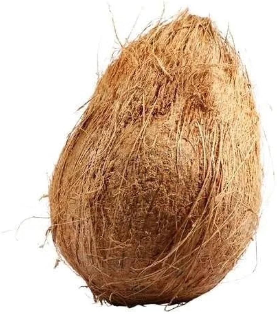 Coconut Big